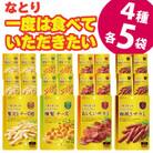 なとりの一度は食べていただきたい 贅沢 おつまみ 4種×5袋 【満足】 セット