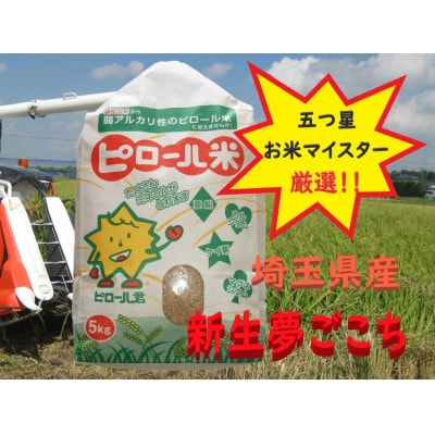【令和8年産　先行予約】但木米店のピロール米　新生夢ごこち5kg(精白米)