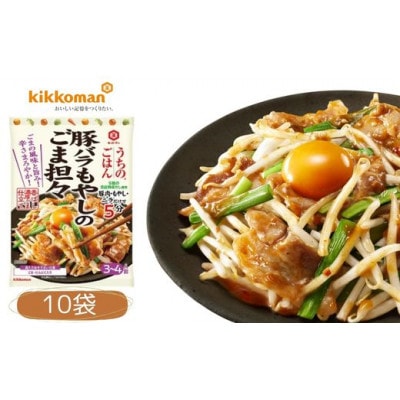 うちのごはん おそうざいの素 豚バラもやしのごま坦々 10袋