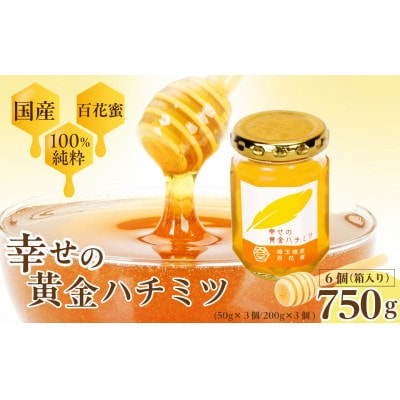 はちみつ 幸せの黄金ハチミツ 750g(50g×3個・200g×3個)箱入り