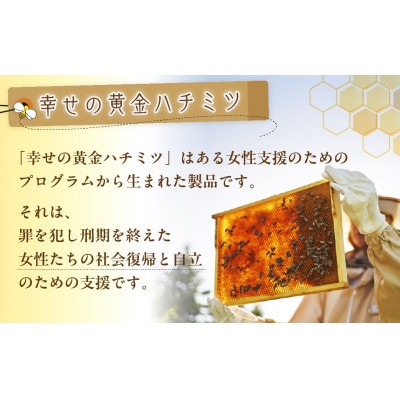 はちみつ 幸せの黄金ハチミツ スティック 2.5g×24本 ギフトBOX入り