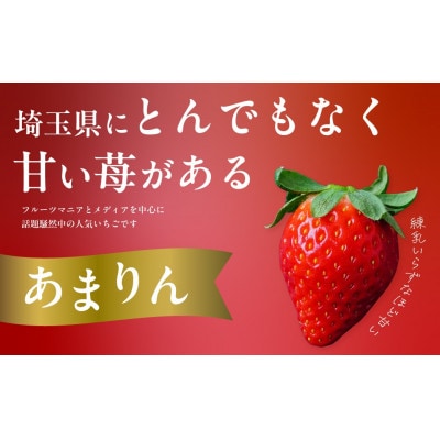 【1月より順発発送】いちご　あまりん　全国いちご選手権2年連続入賞　計520g(260g×2パック)