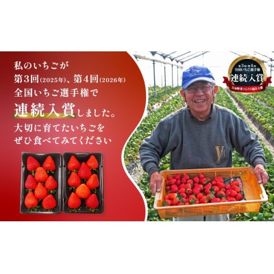 【1月より順発発送】いちご　あまりん　全国いちご選手権2年連続入賞　計520g(260g×2パック)