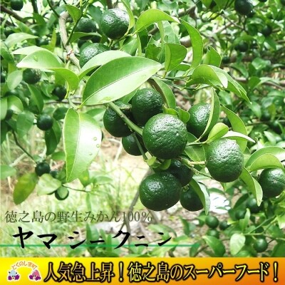 ～野生の島みかんの味～徳之島のヤマ・シークニン果汁(70ml×5本)