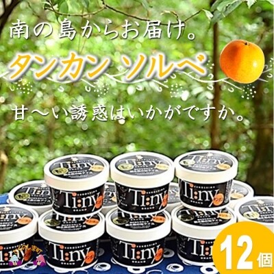 ~南の島からお届けします~太陽の輝き タンカンソルベギフト