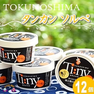 ~南の島からお届けします~太陽の輝き タンカンソルベギフト