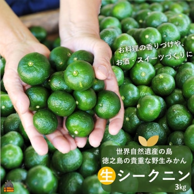 世界自然遺産の島の貴重な野生みかん 生シークニン(3kg)