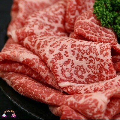 徳之島が世界に誇る“のざき牛”A5ランクフィレステーキギフト