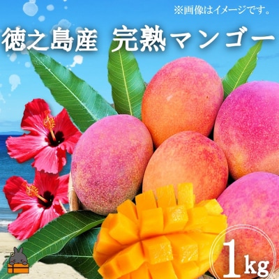 ≪2026年夏お届け!≫てぃだ(太陽)を浴びて育った徳之島産完熟マンゴー(1kg)