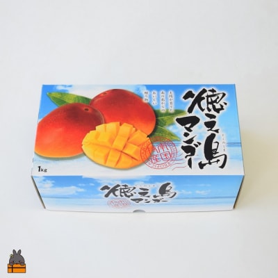 ≪2026年夏お届け!≫てぃだ(太陽)を浴びて育った徳之島産完熟マンゴー(1kg)