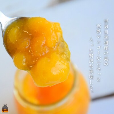 徳之島産マンゴー使用マンゴーコンフィチュール 100g×4個 ( ジャム )