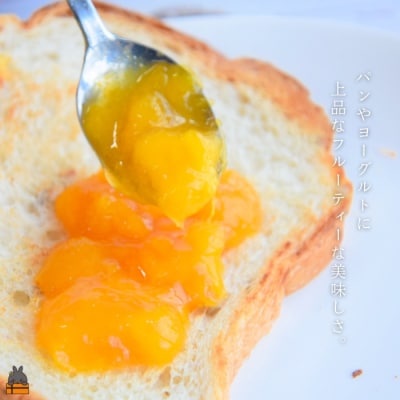 徳之島産マンゴー使用マンゴーコンフィチュール 100g×4個 ( ジャム )