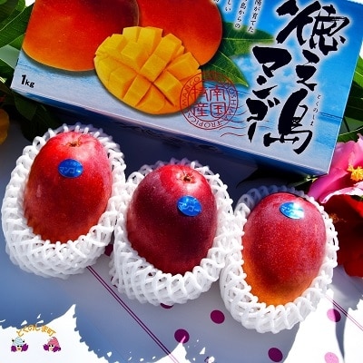 《今が旬!》てぃだ(太陽)をたっぷり浴びた　徳之島ふとり農園の完熟マンゴー(1kg)