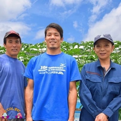 《今が旬!》てぃだ(太陽)をたっぷり浴びた　徳之島ふとり農園の完熟マンゴー(1kg)