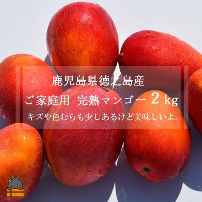 ≪今が旬≫【家庭用】徳之島産完熟マンゴー約2kg(4～9玉)