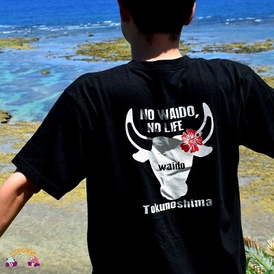 TOKUNOSHIMA発ブランド OBORA Tシャツ【闘牛BLACK】