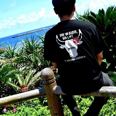 TOKUNOSHIMA発ブランド　OBORA　Tシャツ【闘牛BLACK】