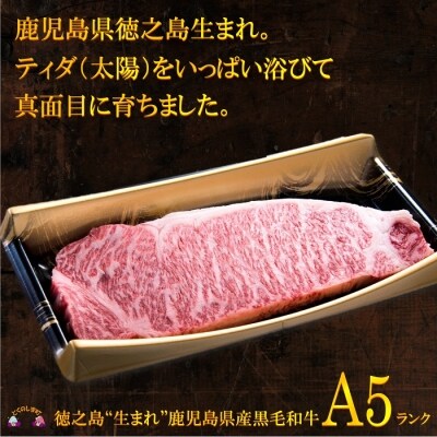 徳之島“生まれ”A5ランク鹿児島県産黒毛和牛サーロインステーキ“幸せ”ギフト
