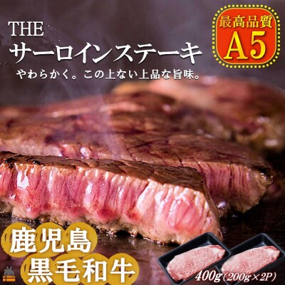 A5ランク THE鹿児島黒毛和牛サーロインステーキ400g(200g&times;2)