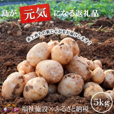 《今が旬!》福祉作業所の仕事にもつながる!徳之島の“新”じゃがいも(5kg)