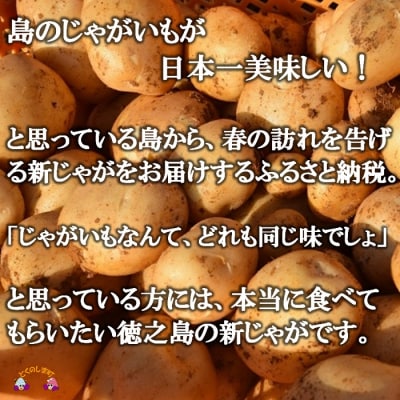 《今が旬!》福祉作業所の仕事にもつながる!徳之島の“新”じゃがいも(5kg)
