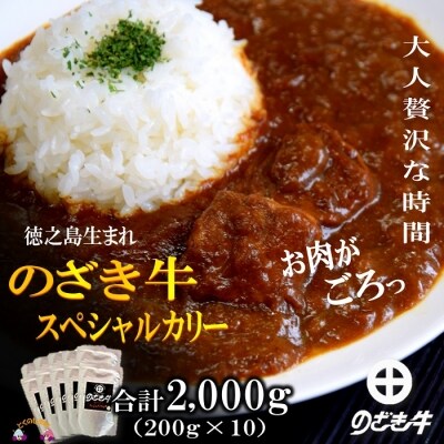 徳之島 生まれ のざき牛がごろっと入ったスペシャルカリーギフト お礼品詳細 ふるさと納税なら さとふる
