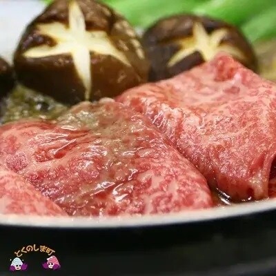 【9月末配送】徳之島が世界に誇る“のざき牛”モモすき焼きギフト