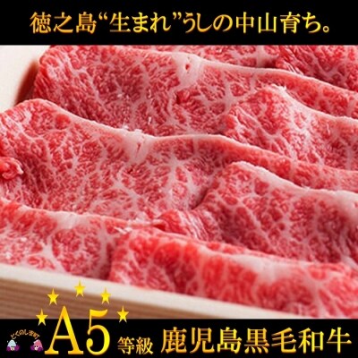 A5等級徳之島“生まれ”鹿児島黒毛和牛ローススライスギフト