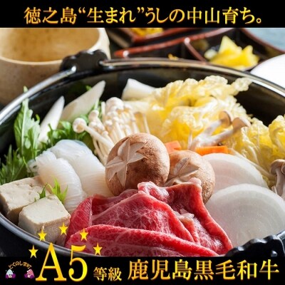 A5等級徳之島“生まれ”鹿児島黒毛和牛ローススライスギフト