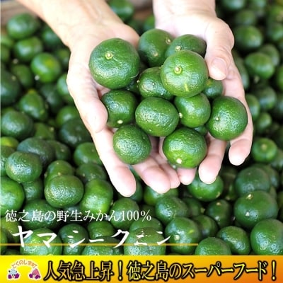 ～野生の島みかんの味～徳之島のヤマ・シークニン果汁(300ml×2本)