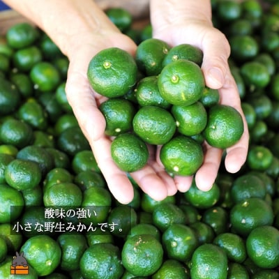 ～野生の島みかんの味～徳之島のヤマ・シークニン果汁(300ml×2本)