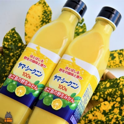 ～野生の島みかんの味～徳之島のヤマ・シークニン果汁(300ml×2本)