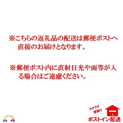 ~珊瑚礁が育んだ恵み~徳之島の自然そのままの塩(2袋)【ポストイン配送】