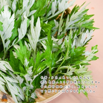 徳之島のよもぎの葉をたっぷり使用した“濃い”よもぎもち(3袋)