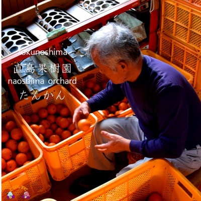 《今が旬》徳之島直島果樹園さんのてぃだ(太陽)100%たんかん(5kg)