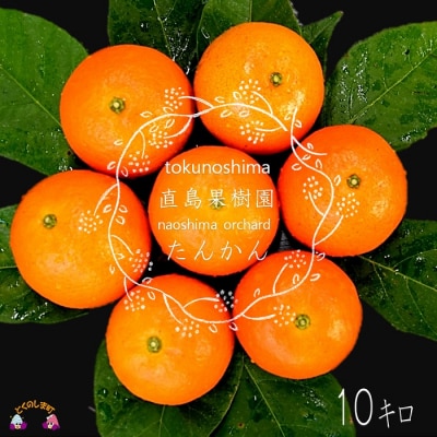 《今が旬》徳之島直島果樹園さんのてぃだ(太陽)100%たんかん(10kg)