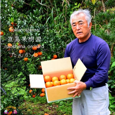 《今が旬》徳之島直島果樹園さんのてぃだ(太陽)100%たんかん(10kg)