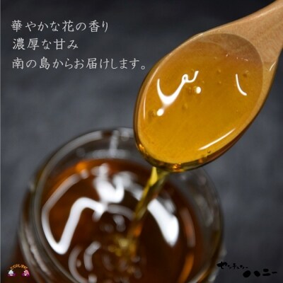 ～徳之島のマンゴー農家さんが作ったはちみつ～センチュリーハニー(大)