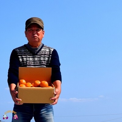 てぃだ(太陽)の恵み。徳之島松下農園さんのたんかん(10㎏)