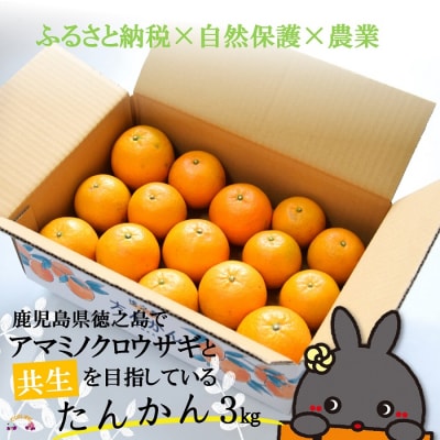 《今が旬!》～アマミノクロウサギと共生を目指す農家さんの徳之島産たんかん3kg 