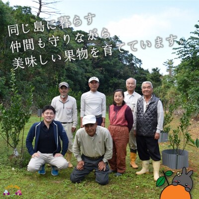 《まもなく旬!》～アマミノクロウサギと共生を目指す農家さんの徳之島産たんかん3kg 