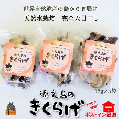 �V�R���g�p�E���S�V���������V���Y�����炰(3��)�y�|�X�g�C���z���z