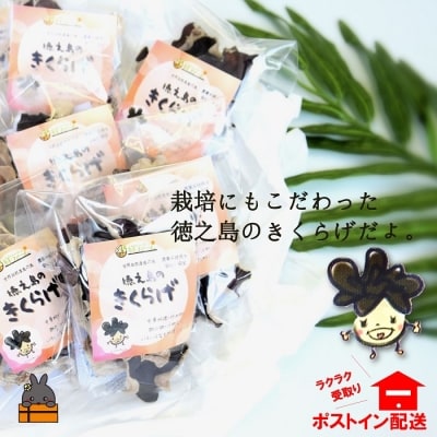 天然水使用・完全天日干し徳之島産きくらげ(3袋)【ポストイン配送】