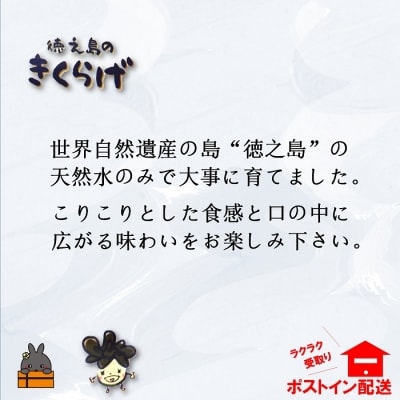 天然水使用・完全天日干し徳之島産きくらげ(3袋)【ポストイン配送】