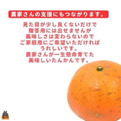 ≪まもなく旬!≫【家庭用】見た目は△!でも味は◎!徳之島産“もぎたて”たんかん(5kg)