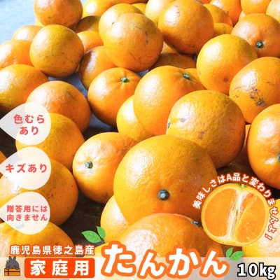 ≪先行予約≫【家庭用】見た目は△!でも味は◎!徳之島産“もぎたて”たんかん(10kg)