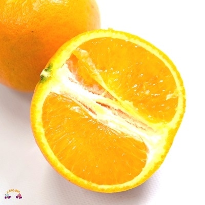 ≪今が旬!≫【家庭用】見た目は△!でも味は◎!徳之島産“もぎたて”たんかん(10kg)