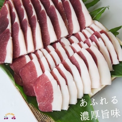 ～THEジビエ　自然を食べる。～リュウキュウイノシシ(モモ)