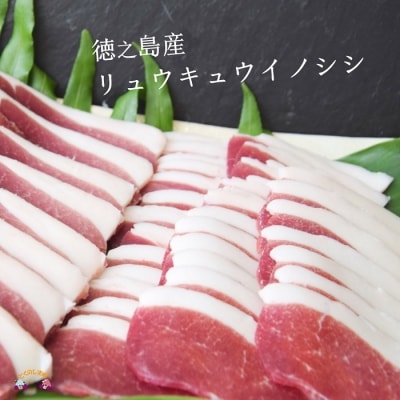 ～THEジビエ　自然を食べる。～リュウキュウイノシシ(モモ)