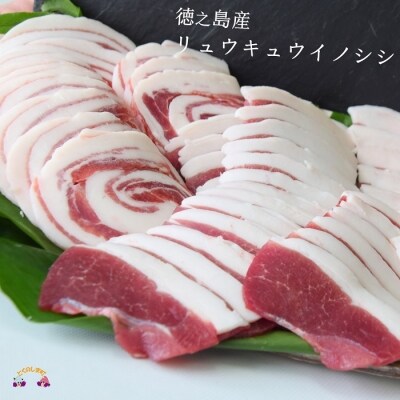 ～THEジビエ　自然を食べる。～リュウキュウイノシシ(3種食べ比べ)